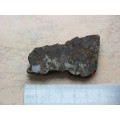 Метеорит Брагин (26,2 г.)